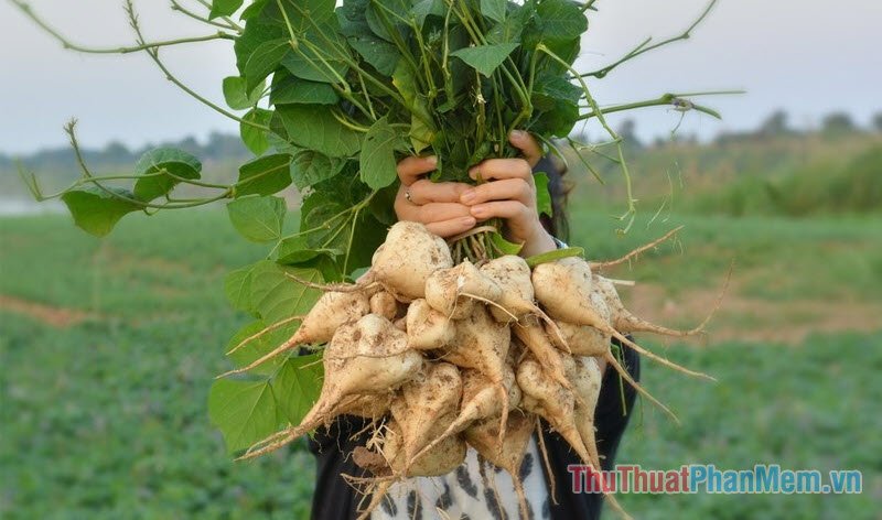 1 chai va 1 cu co gia tri tien tuong duong voi nhau chung cu yeunb 034652422