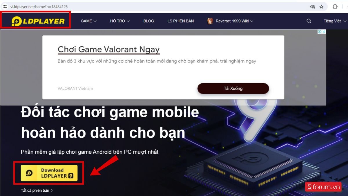 anh mo ta 312