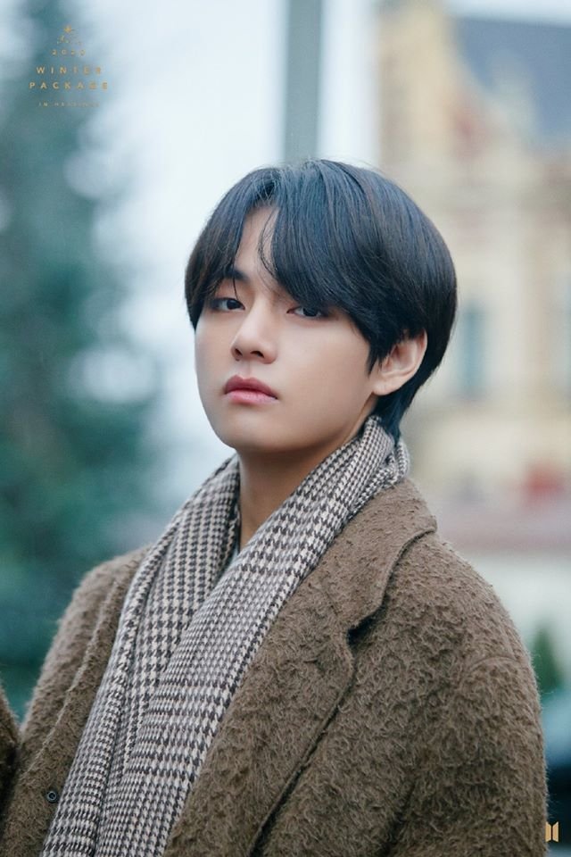 hinh anh taehyung sieu ngau 013653732