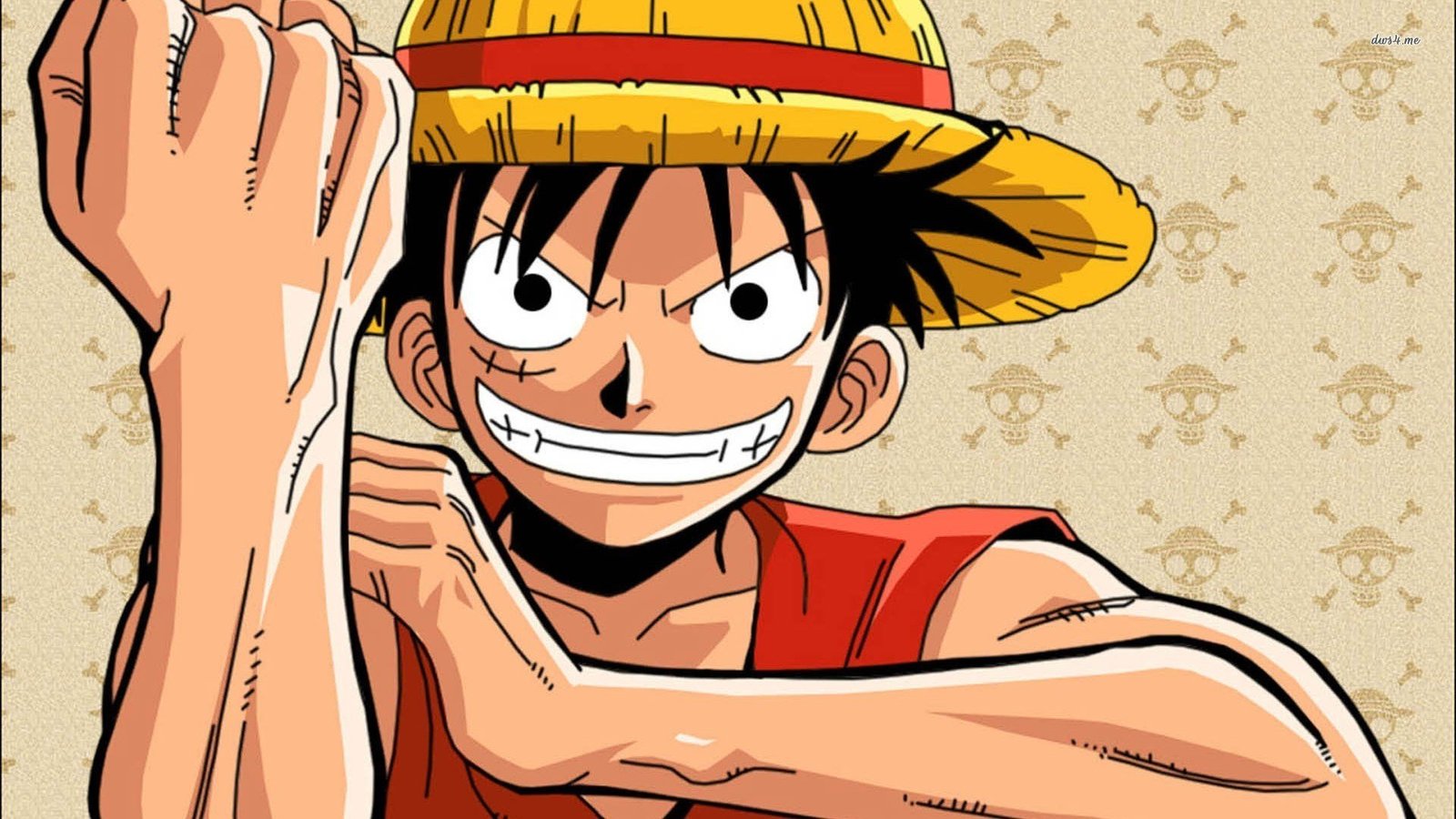 hinh nen luffy cute cho may tinh 041025925