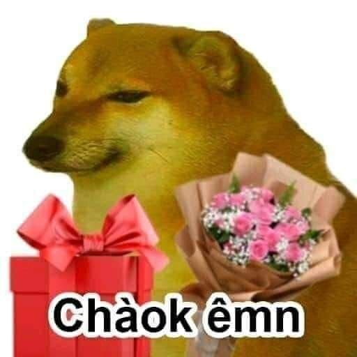 meme cheems chao em 082023436