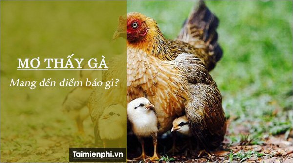 nam mo thay con ga danh con gi la diem bao gi 32