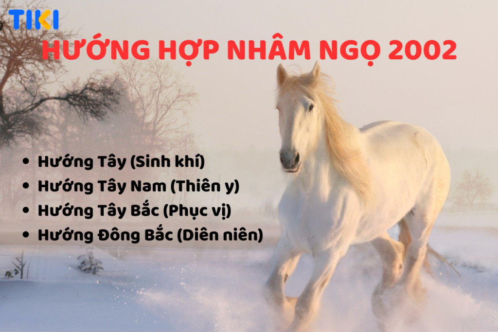 nham ngo hop huong 1024x683 1