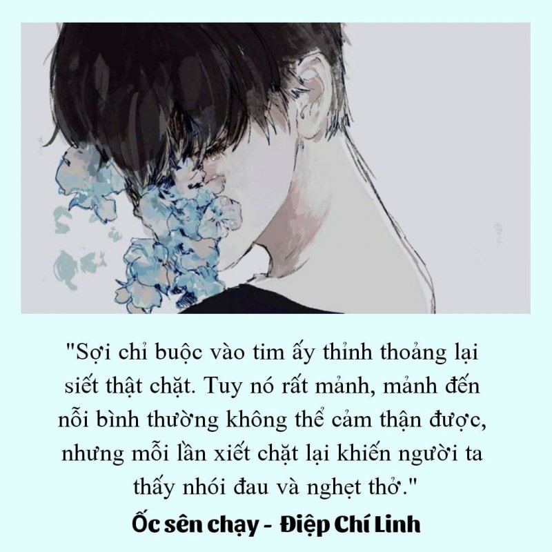 oc sen chay diep chi linh 1143276