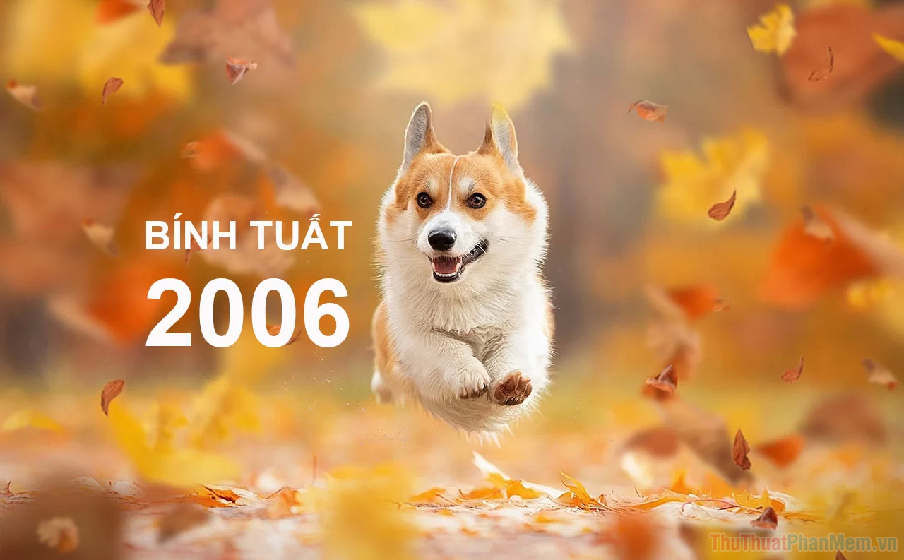 sinh nam 2k6 bao nhieu tuoi hoc lop may thi tot nghiep nam b n6q0o 110812197