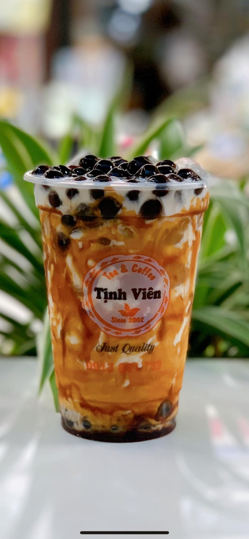 tra sua tran chau tinh vien 1142146